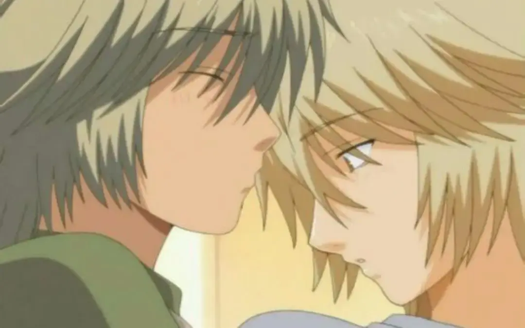 《纤细的爱/幸福花园》 | 超清未删减版 | 双男主情感故事 | 全集在线观看 | 百度网盘资源