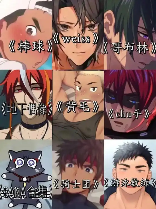 《Sana动漫》超清全集百度云资源-《Sana动漫》无删减版在线看，哥布林洞窟/不良少年等热门番剧1080P画质