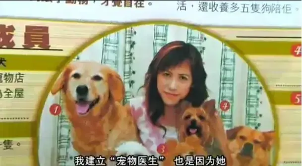 《女人与狗》 | 超清1080P无删减版 | 中文字幕在线播放 | 百度网盘资源下载 | HD高清全集