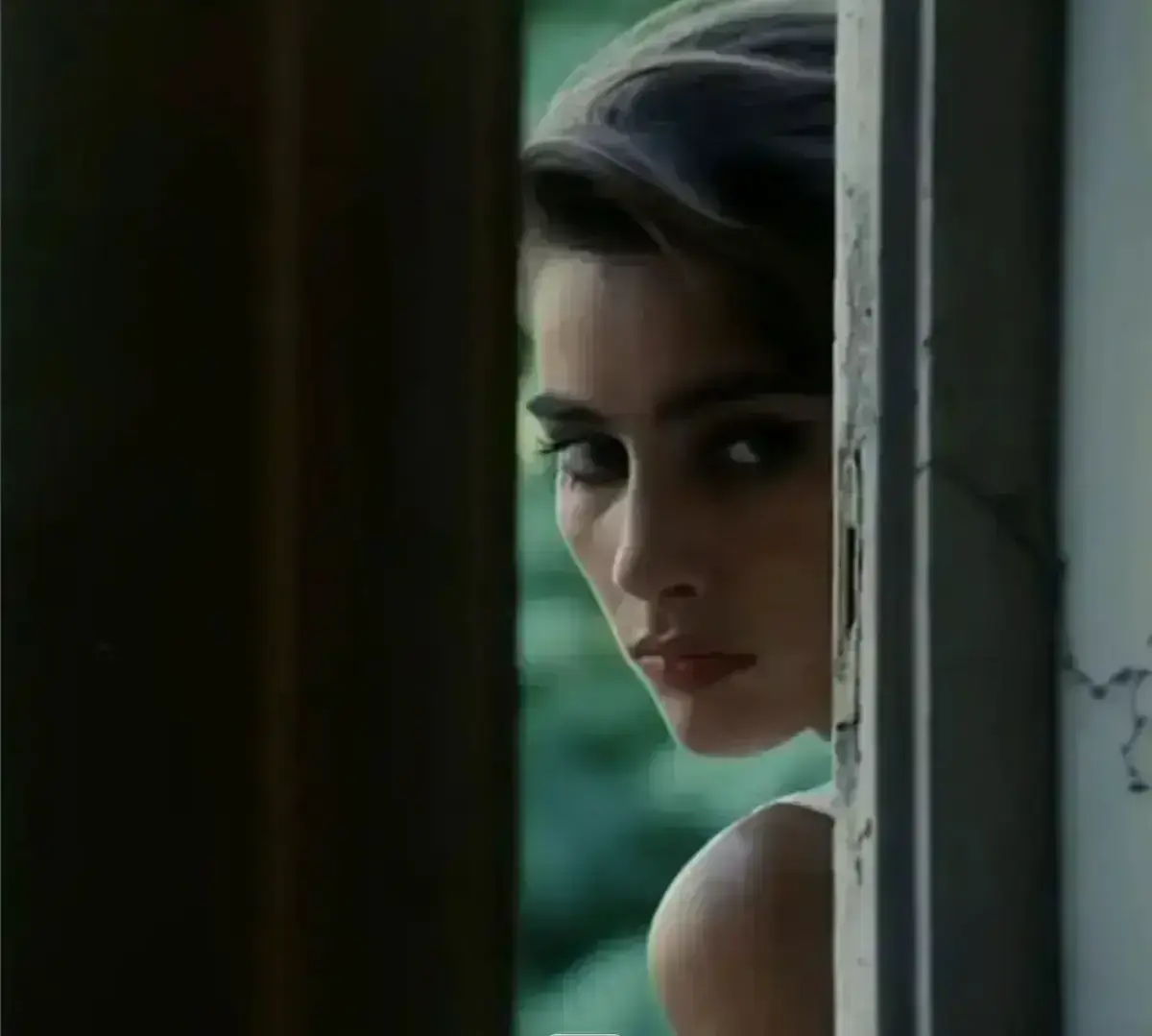 《激情丛林》完整版高清中字资源来了！《激情丛林》未删减版意大利电影，网盘播放/下载/资源速看！