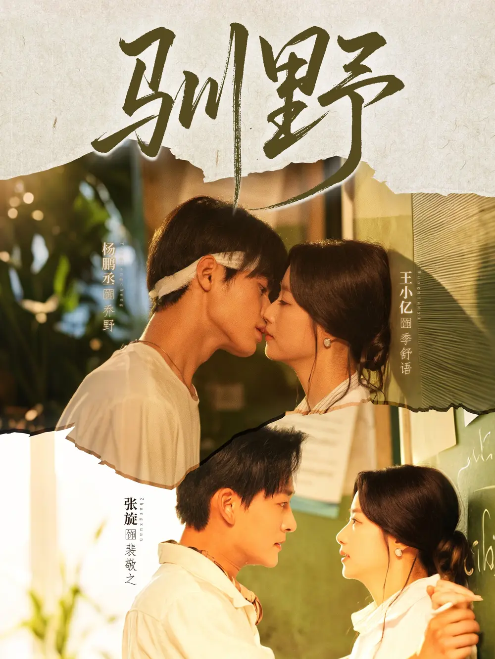 《驯野》十年暗恋终成真！假浪子×假淑女联姻真相太戳心！《驯野》全集资源速存