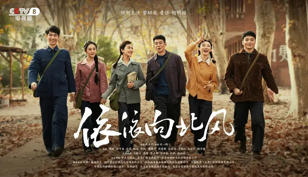 《依依向北风》 / 超清未删减版 / 网盘下载资源 / 国产剧情感故事 / 全集