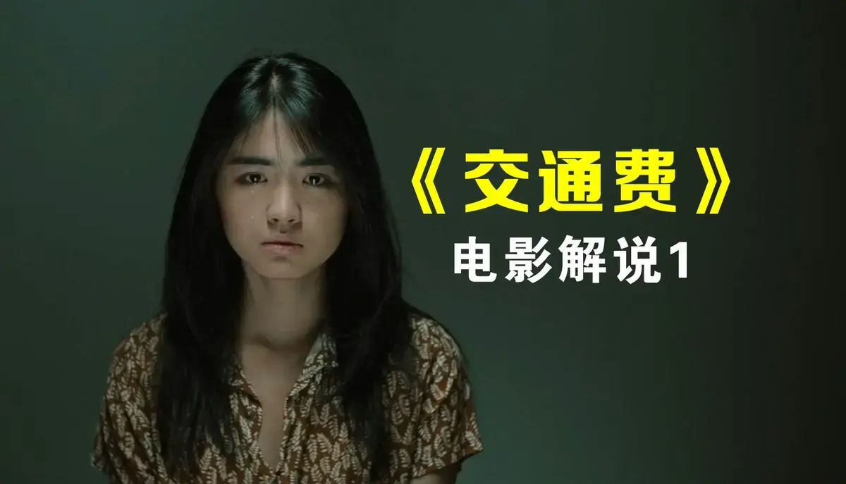 《交通费》超清完整版：一场《交通费》中绝望母亲的悲情旅途，1080P高清资源在线观看