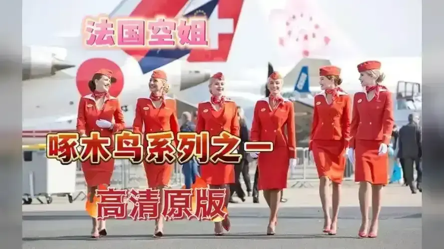 《法国空姐》全集资源在哪找？《法国空姐》无删减三季1080P高清完整版免费观看