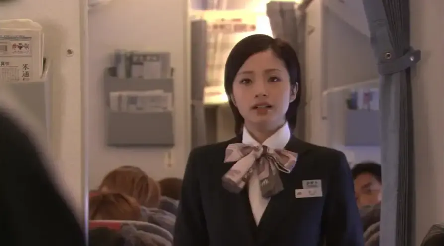 《空姐丑闻》HD中字未删减版《空姐丑闻》4K高清在线观看与网盘资源下载